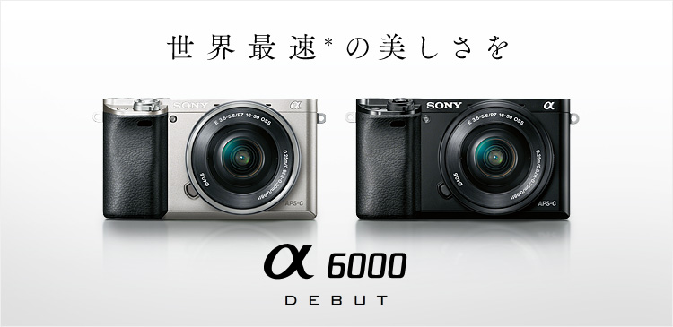 α6000